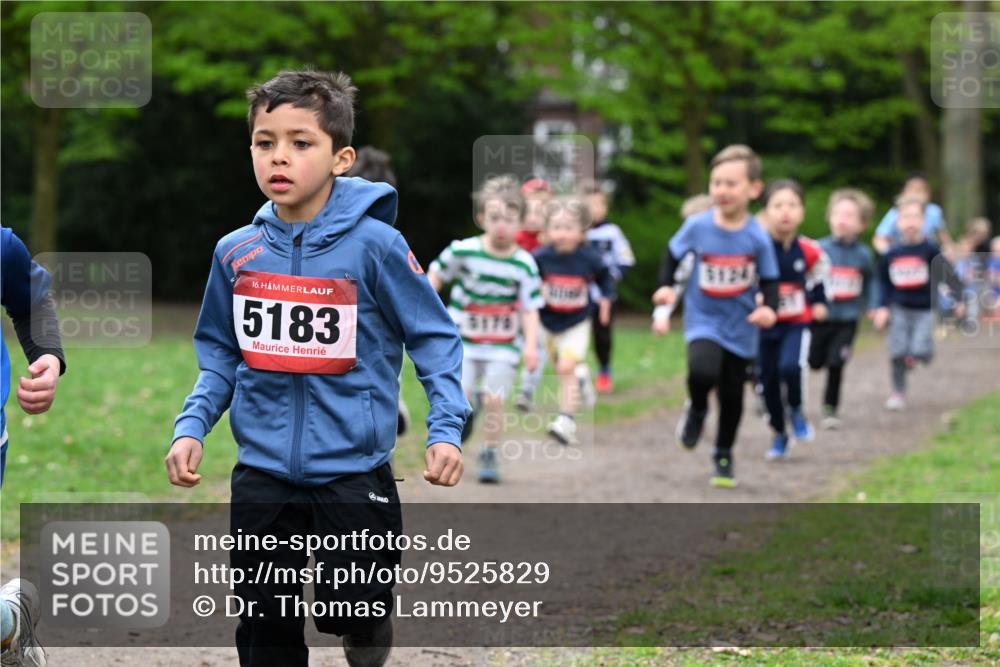 19.04.2026 - Hammer Lauf Dr. Thomas Lammeyer http://msf.ph/oto/9525829 19.04.2026 09:11:08 Laufen 5183, 5124 meine-sportfotos.de