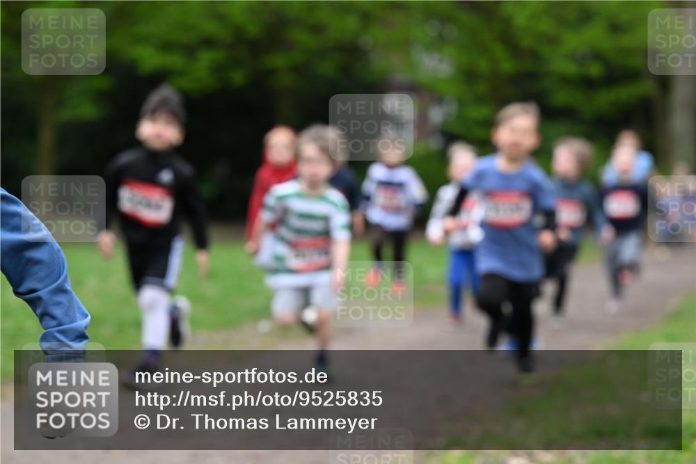 19.04.2026 - Hammer Lauf Dr. Thomas Lammeyer http://msf.ph/oto/9525835 19.04.2026 09:11:09 Laufen  meine-sportfotos.de