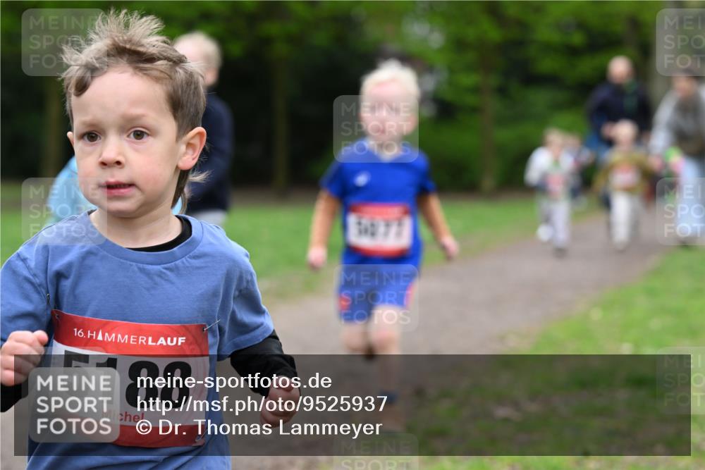 19.04.2026 - Hammer Lauf Dr. Thomas Lammeyer http://msf.ph/oto/9525937 19.04.2026 09:11:19 Laufen 5188, 5077 meine-sportfotos.de
