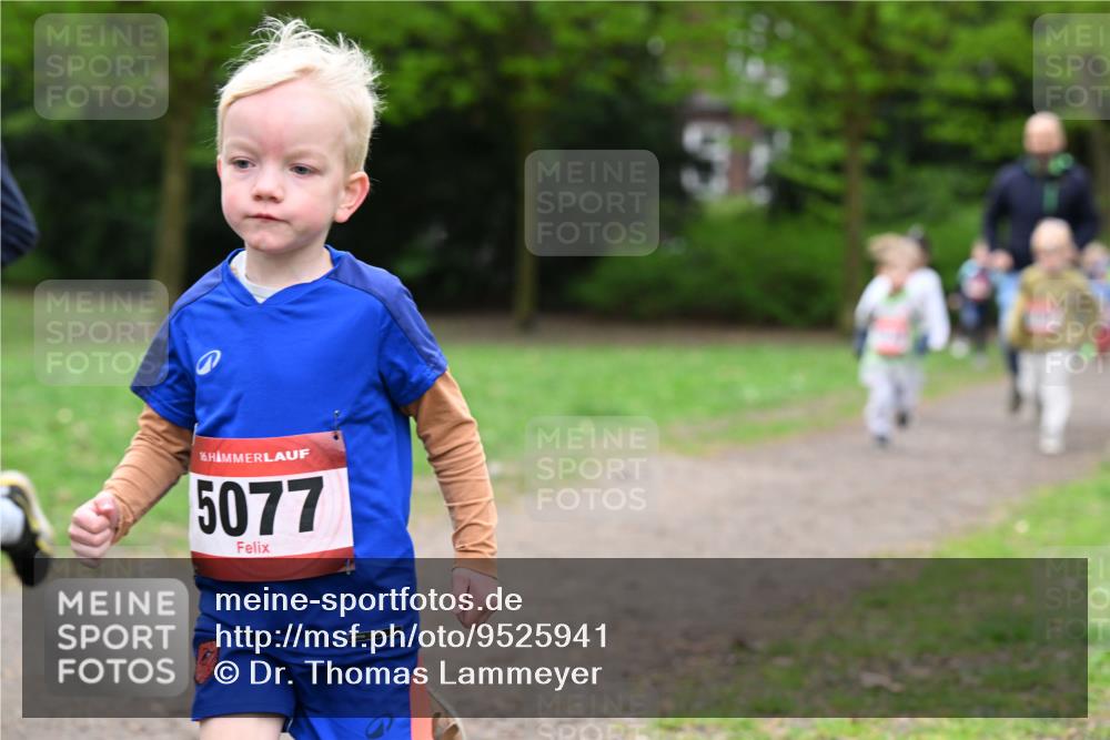 19.04.2026 - Hammer Lauf Dr. Thomas Lammeyer http://msf.ph/oto/9525941 19.04.2026 09:11:20 Laufen 5077 meine-sportfotos.de