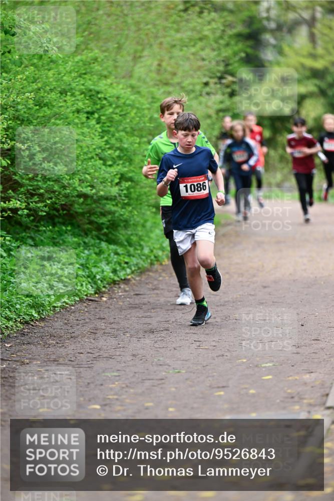 19.04.2026 - Hammer Lauf Dr. Thomas Lammeyer http://msf.ph/oto/9526843 19.04.2026 09:24:34 Laufen 1086 meine-sportfotos.de