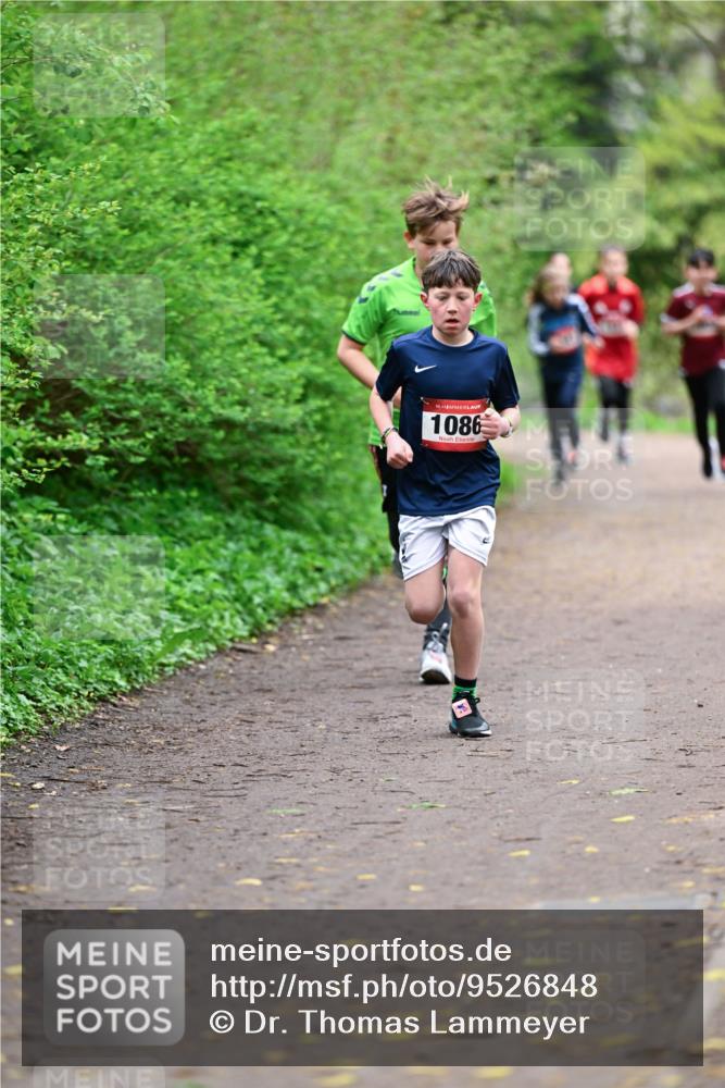 19.04.2026 - Hammer Lauf Dr. Thomas Lammeyer http://msf.ph/oto/9526848 19.04.2026 09:24:34 Laufen 1086 meine-sportfotos.de