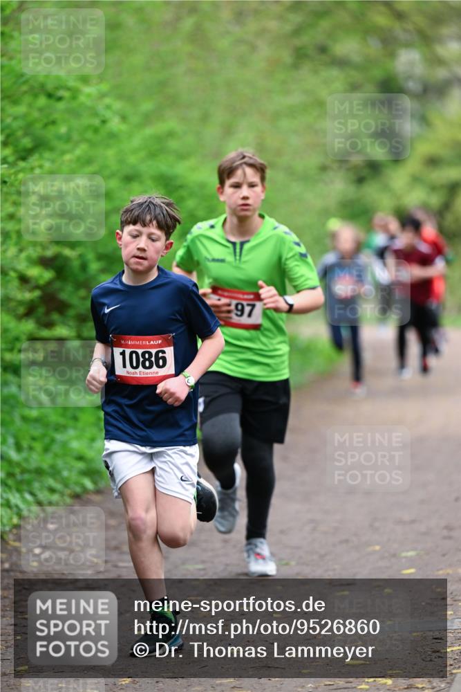 19.04.2026 - Hammer Lauf Dr. Thomas Lammeyer http://msf.ph/oto/9526860 19.04.2026 09:24:36 Laufen 1086 meine-sportfotos.de