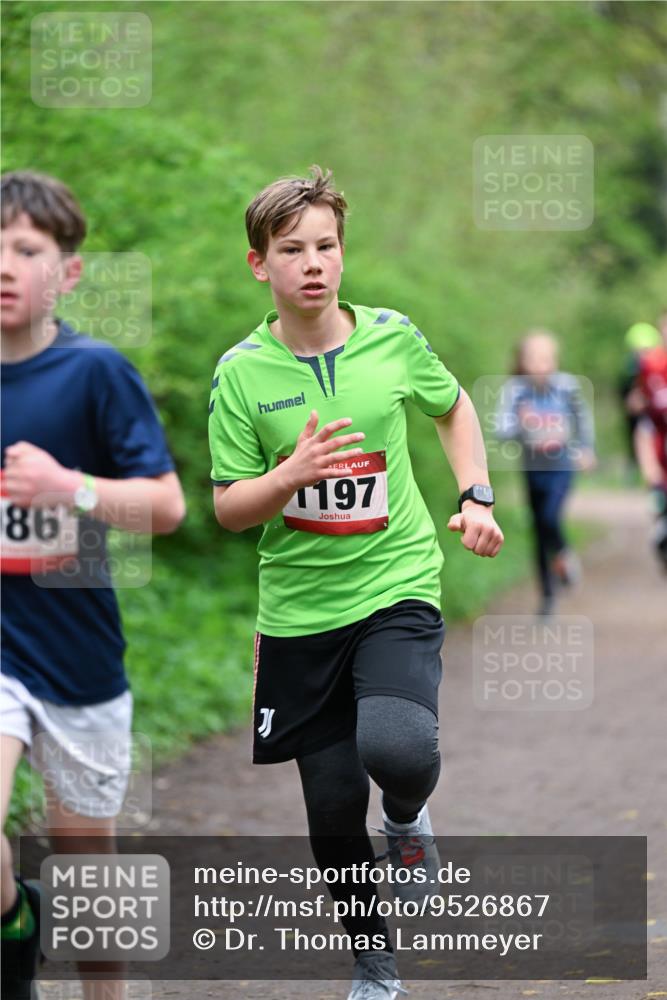 19.04.2026 - Hammer Lauf Dr. Thomas Lammeyer http://msf.ph/oto/9526867 19.04.2026 09:24:37 Laufen 197 meine-sportfotos.de