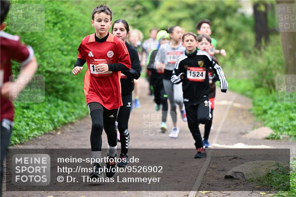 19.04.2026 - Hammer Lauf Dr. Thomas Lammeyer http://msf.ph/oto/9526902 19.04.2026 09:24:42 Laufen 1524 meine-sportfotos.de