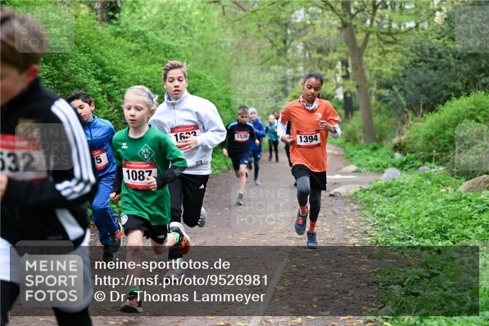 19.04.2026 - Hammer Lauf Dr. Thomas Lammeyer http://msf.ph/oto/9526981 19.04.2026 09:24:52 Laufen 532, 1087, 1633, 1526, 1394 meine-sportfotos.de