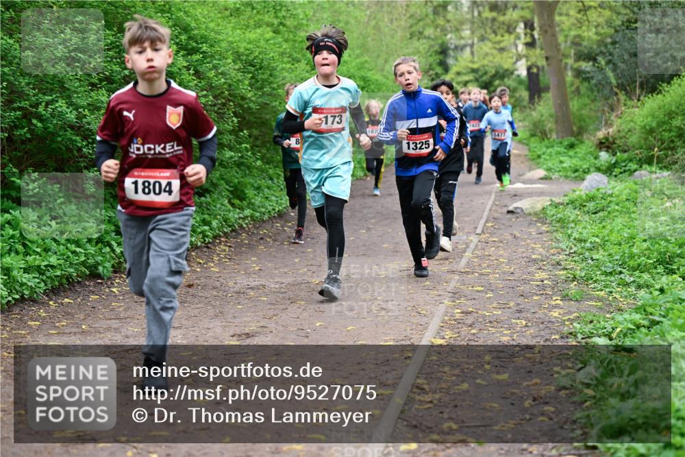 19.04.2026 - Hammer Lauf Dr. Thomas Lammeyer http://msf.ph/oto/9527075 19.04.2026 09:25:03 Laufen 1804, 173, 187, 1325, 1629 meine-sportfotos.de