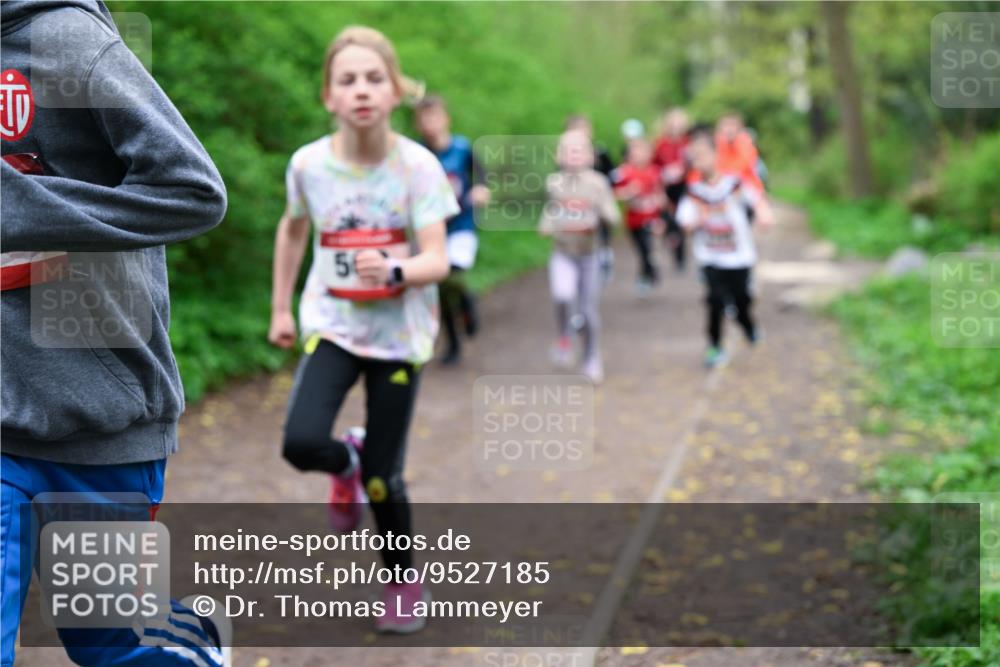 19.04.2026 - Hammer Lauf Dr. Thomas Lammeyer http://msf.ph/oto/9527185 19.04.2026 09:25:16 Laufen  meine-sportfotos.de