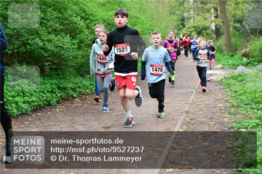 19.04.2026 - Hammer Lauf Dr. Thomas Lammeyer http://msf.ph/oto/9527237 19.04.2026 09:25:21 Laufen 1445, 1521, 1478, 1172 meine-sportfotos.de