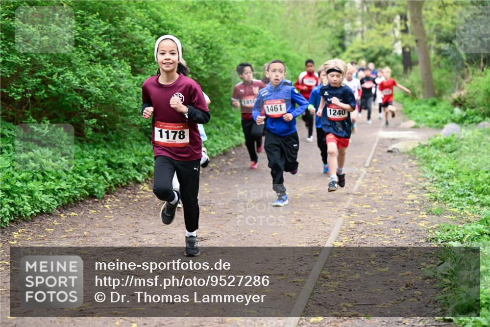 19.04.2026 - Hammer Lauf Dr. Thomas Lammeyer http://msf.ph/oto/9527286 19.04.2026 09:25:25 Laufen 1178, 1810, 1461, 1240 meine-sportfotos.de