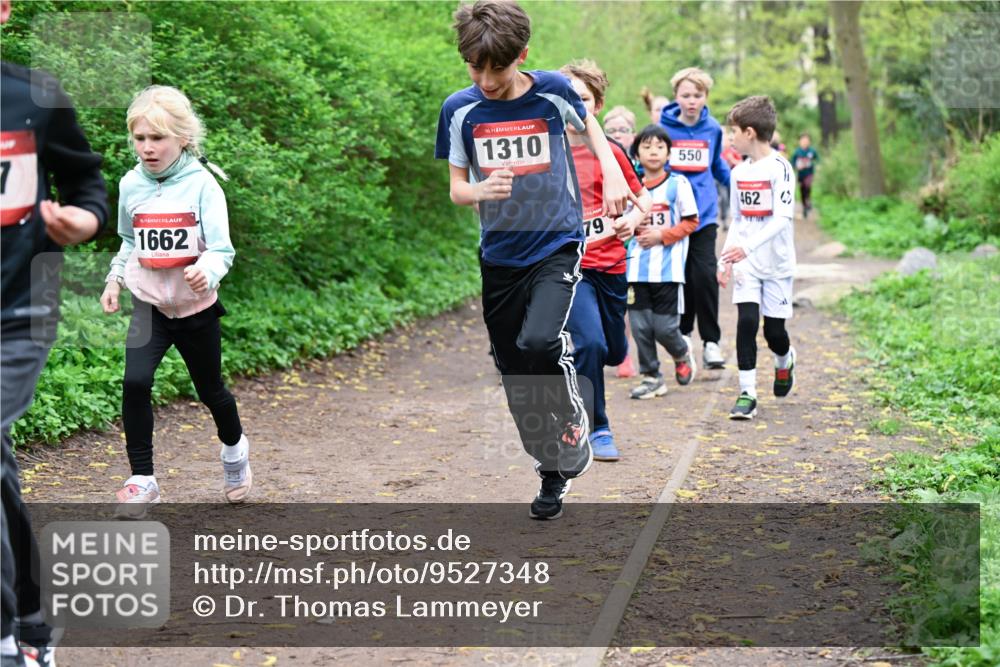 19.04.2026 - Hammer Lauf Dr. Thomas Lammeyer http://msf.ph/oto/9527348 19.04.2026 09:25:32 Laufen 1662, 1310, 550, 462 meine-sportfotos.de