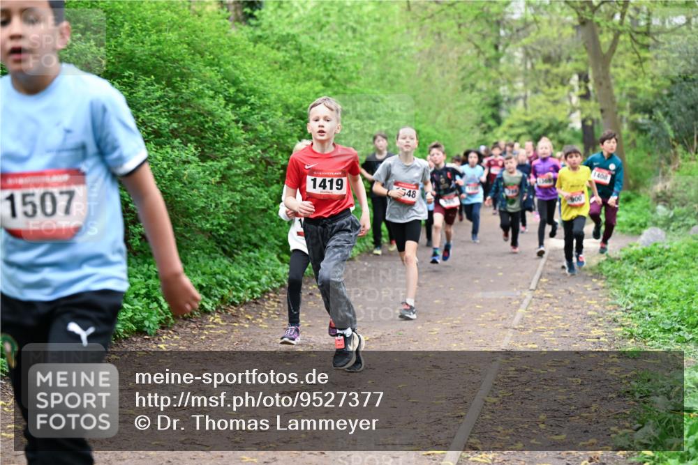 19.04.2026 - Hammer Lauf Dr. Thomas Lammeyer http://msf.ph/oto/9527377 19.04.2026 09:25:38 Laufen 1507, 1419, 900, 548, 1408 meine-sportfotos.de