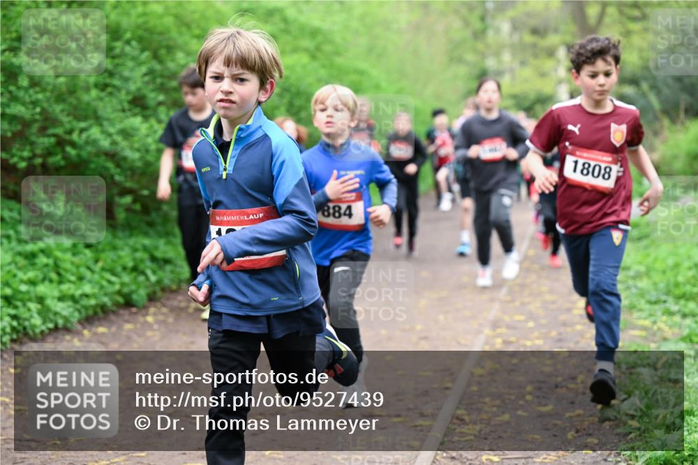 19.04.2026 - Hammer Lauf Dr. Thomas Lammeyer http://msf.ph/oto/9527439 19.04.2026 09:25:45 Laufen 884, 1808 meine-sportfotos.de