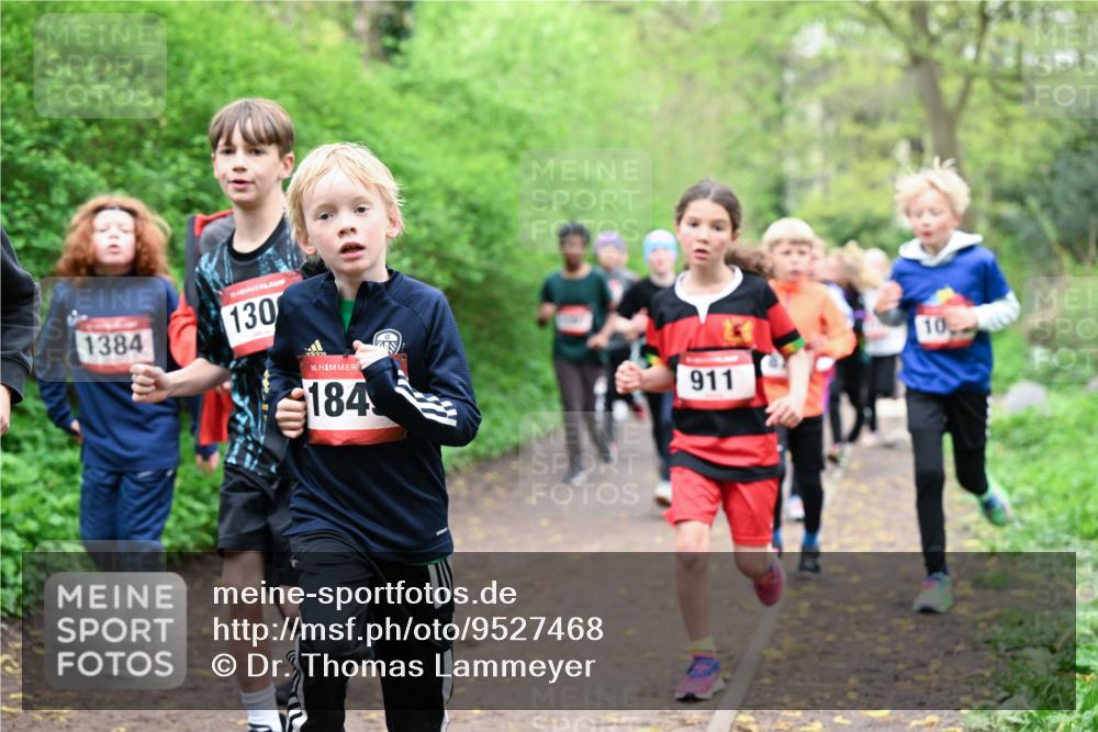 19.04.2026 - Hammer Lauf Dr. Thomas Lammeyer http://msf.ph/oto/9527468 19.04.2026 09:25:48 Laufen 1384, 130, 184, 911 meine-sportfotos.de