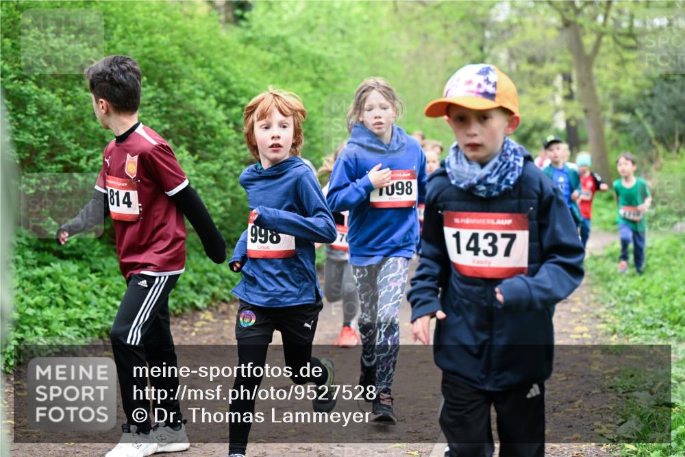 19.04.2026 - Hammer Lauf Dr. Thomas Lammeyer http://msf.ph/oto/9527528 19.04.2026 09:25:57 Laufen 814, 998, 1437, 9713 meine-sportfotos.de