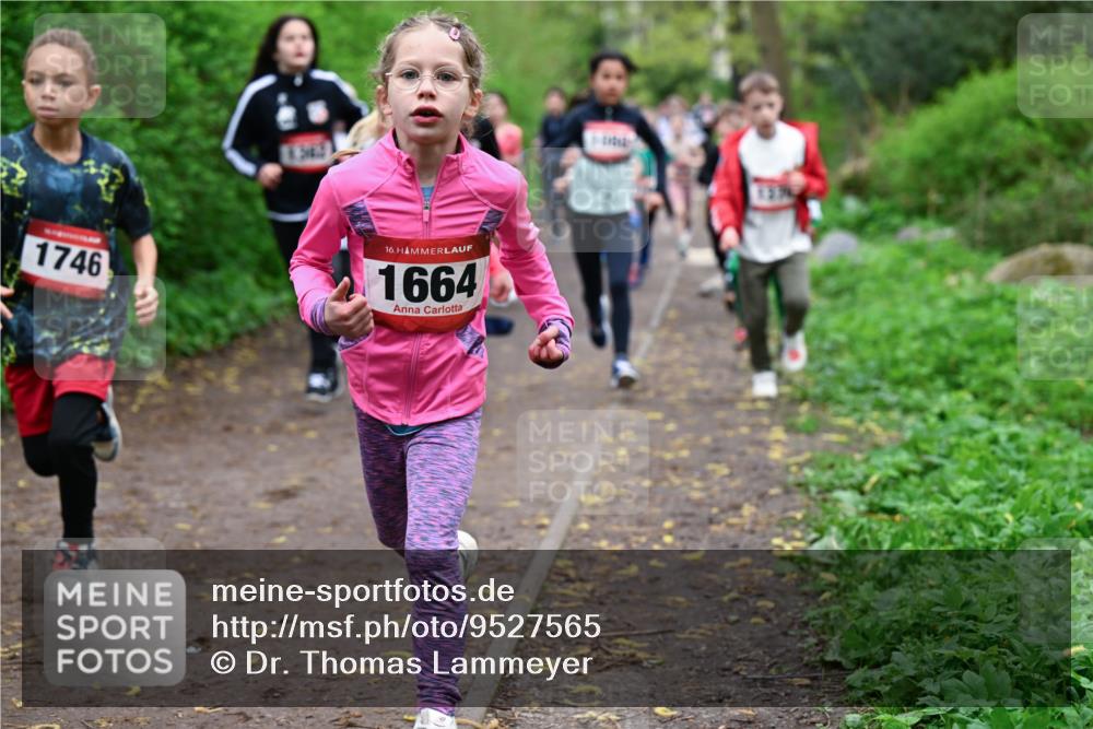 19.04.2026 - Hammer Lauf Dr. Thomas Lammeyer http://msf.ph/oto/9527565 19.04.2026 09:26:02 Laufen 1746, 1664 meine-sportfotos.de