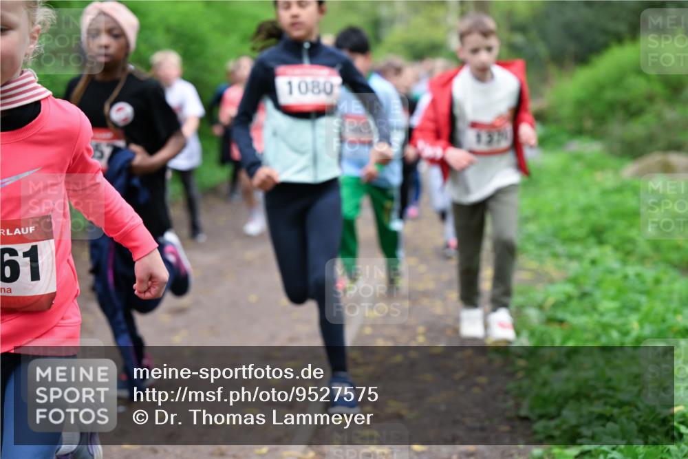 19.04.2026 - Hammer Lauf Dr. Thomas Lammeyer http://msf.ph/oto/9527575 19.04.2026 09:26:04 Laufen 1080, 1371 meine-sportfotos.de