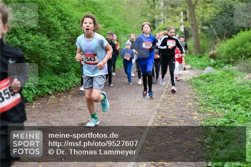 19.04.2026 - Hammer Lauf Dr. Thomas Lammeyer http://msf.ph/oto/9527607 19.04.2026 09:26:10 Laufen 355, 1543, 597, 1193 meine-sportfotos.de