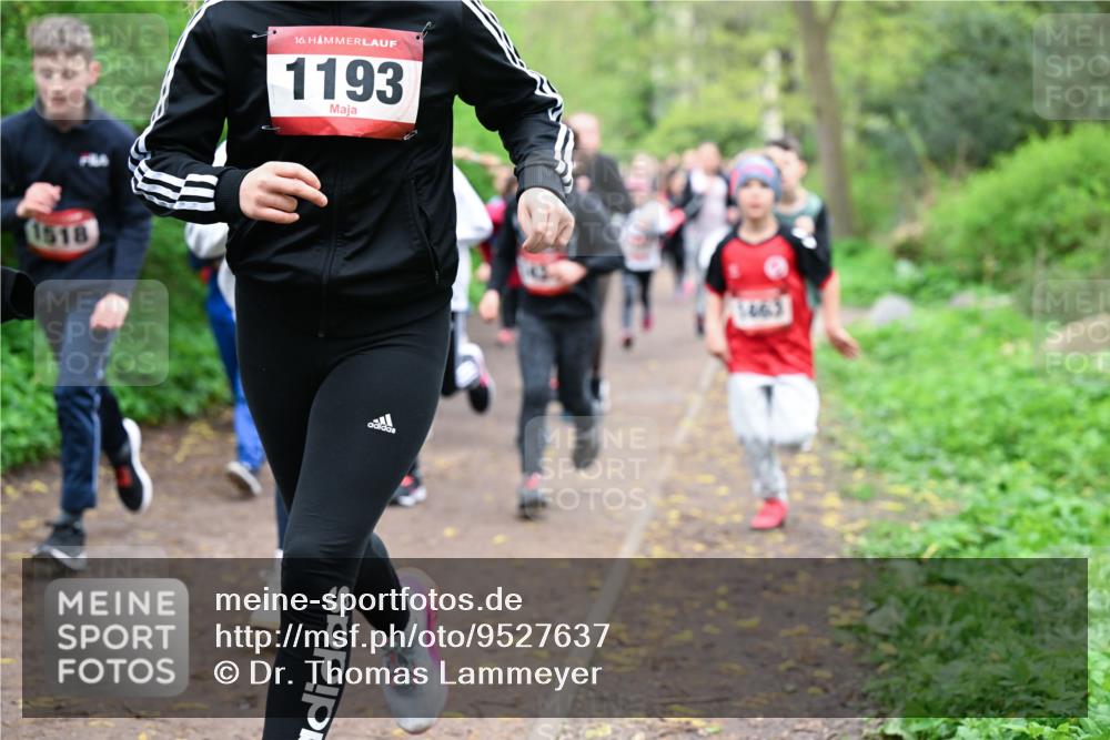 19.04.2026 - Hammer Lauf Dr. Thomas Lammeyer http://msf.ph/oto/9527637 19.04.2026 09:26:13 Laufen 1518, 1193, 1463 meine-sportfotos.de