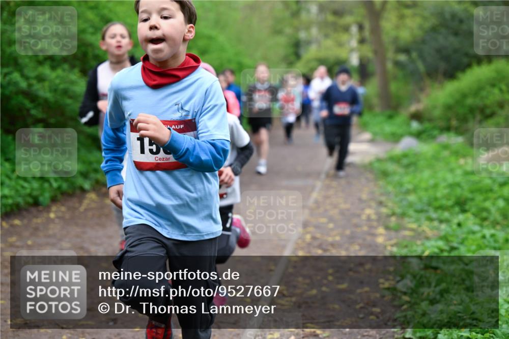 19.04.2026 - Hammer Lauf Dr. Thomas Lammeyer http://msf.ph/oto/9527667 19.04.2026 09:26:16 Laufen  meine-sportfotos.de