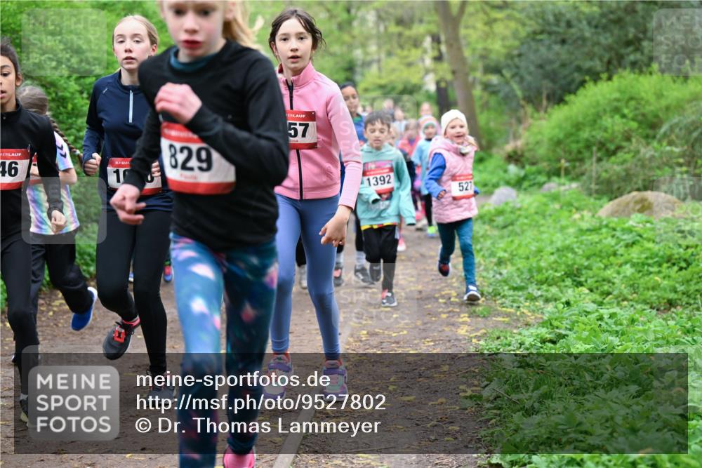 19.04.2026 - Hammer Lauf Dr. Thomas Lammeyer http://msf.ph/oto/9527802 19.04.2026 09:26:34 Laufen 829, 1392, 527 meine-sportfotos.de