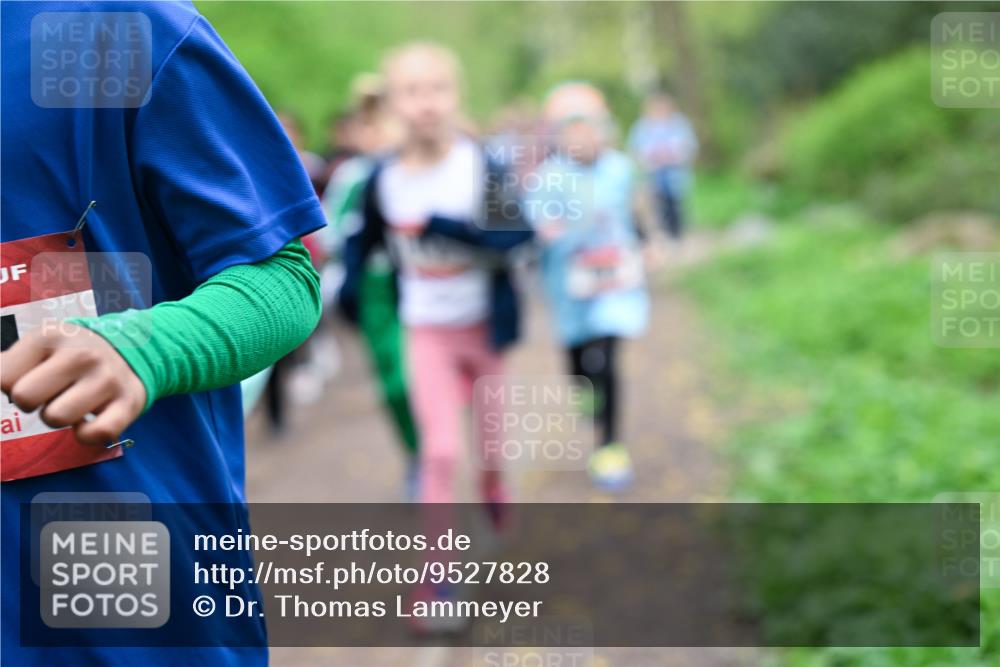 19.04.2026 - Hammer Lauf Dr. Thomas Lammeyer http://msf.ph/oto/9527828 19.04.2026 09:26:37 Laufen  meine-sportfotos.de
