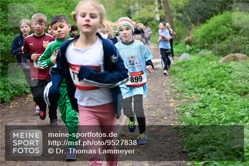 19.04.2026 - Hammer Lauf Dr. Thomas Lammeyer http://msf.ph/oto/9527838 19.04.2026 09:26:37 Laufen 899 meine-sportfotos.de