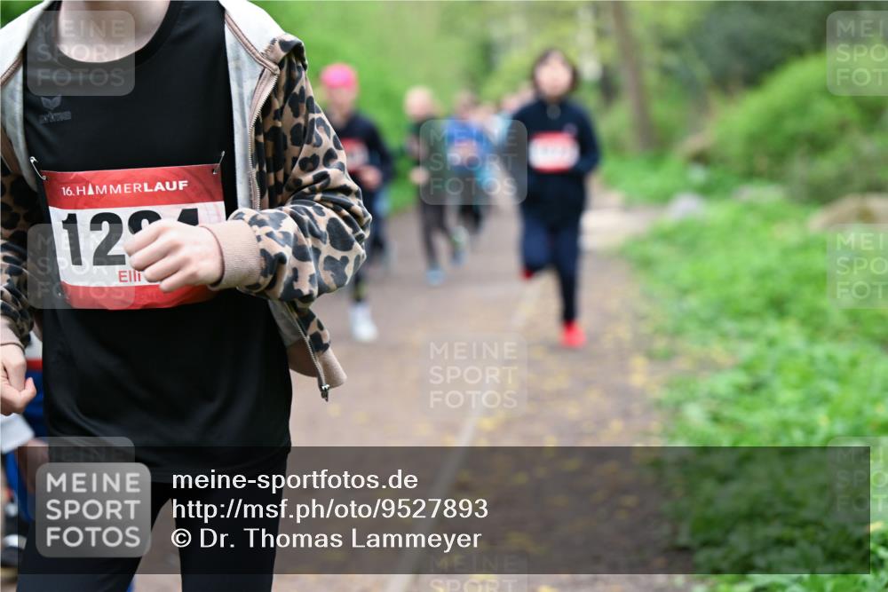 19.04.2026 - Hammer Lauf Dr. Thomas Lammeyer http://msf.ph/oto/9527893 19.04.2026 09:26:44 Laufen  meine-sportfotos.de