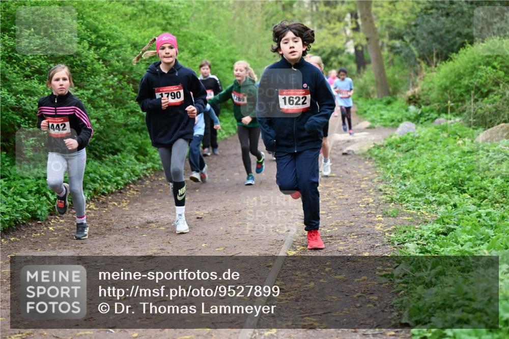 19.04.2026 - Hammer Lauf Dr. Thomas Lammeyer http://msf.ph/oto/9527899 19.04.2026 09:26:44 Laufen 442, 1790, 789, 1622 meine-sportfotos.de