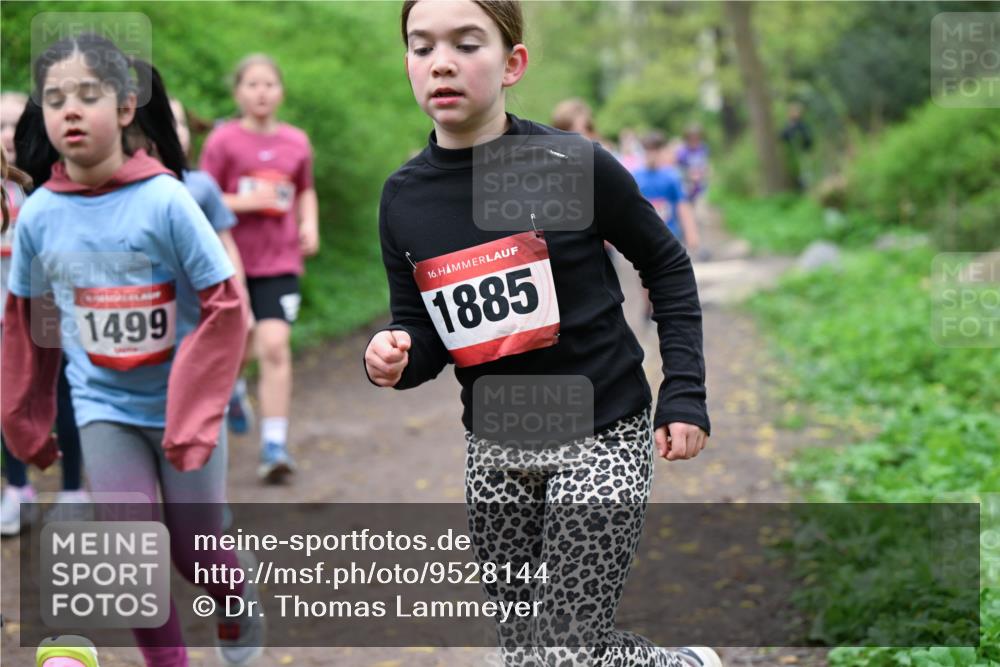 19.04.2026 - Hammer Lauf Dr. Thomas Lammeyer http://msf.ph/oto/9528144 19.04.2026 09:27:11 Laufen 1499, 1885 meine-sportfotos.de