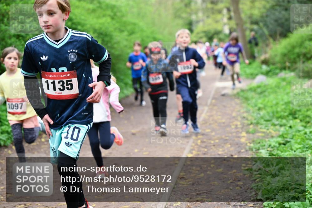 19.04.2026 - Hammer Lauf Dr. Thomas Lammeyer http://msf.ph/oto/9528172 19.04.2026 09:27:14 Laufen 1097, 1135 meine-sportfotos.de