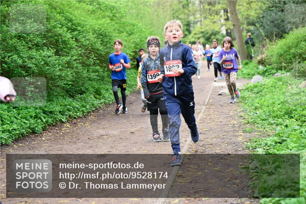 19.04.2026 - Hammer Lauf Dr. Thomas Lammeyer http://msf.ph/oto/9528174 19.04.2026 09:27:14 Laufen 088, 1399, 180, 1650 meine-sportfotos.de
