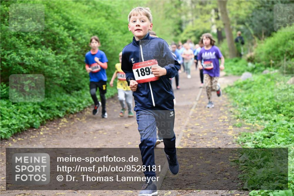 19.04.2026 - Hammer Lauf Dr. Thomas Lammeyer http://msf.ph/oto/9528181 19.04.2026 09:27:15 Laufen 189 meine-sportfotos.de
