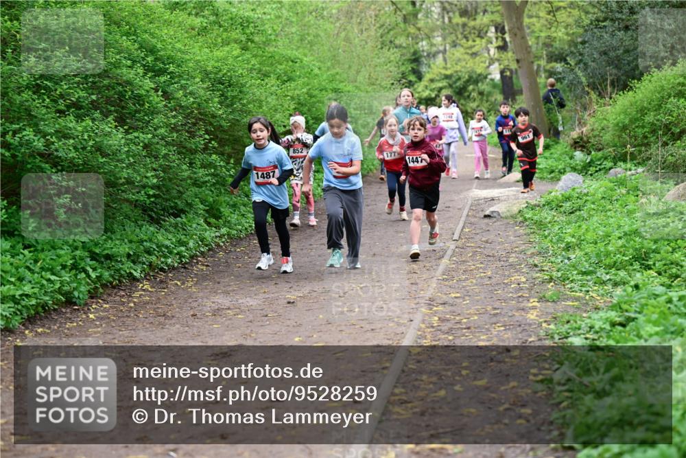 19.04.2026 - Hammer Lauf Dr. Thomas Lammeyer http://msf.ph/oto/9528259 19.04.2026 09:27:23 Laufen 1487, 852, 177, 1447, 1248, 961 meine-sportfotos.de