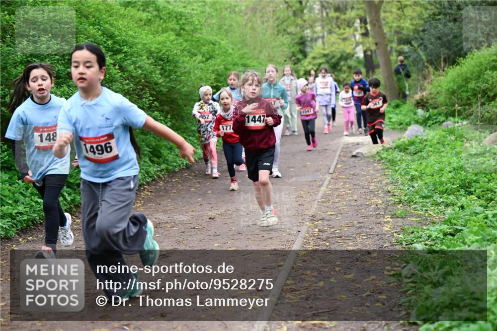 19.04.2026 - Hammer Lauf Dr. Thomas Lammeyer http://msf.ph/oto/9528275 19.04.2026 09:27:24 Laufen 148, 1496, 1547, 452, 177, 1447 meine-sportfotos.de