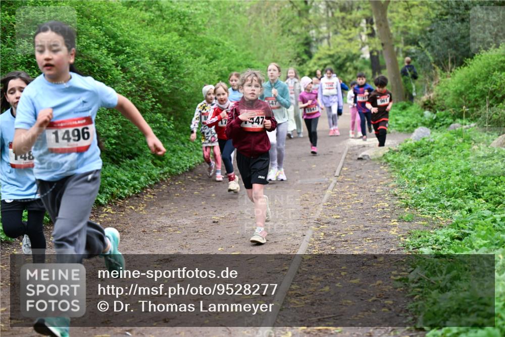19.04.2026 - Hammer Lauf Dr. Thomas Lammeyer http://msf.ph/oto/9528277 19.04.2026 09:27:24 Laufen 148, 1496, 447, 1547, 961 meine-sportfotos.de
