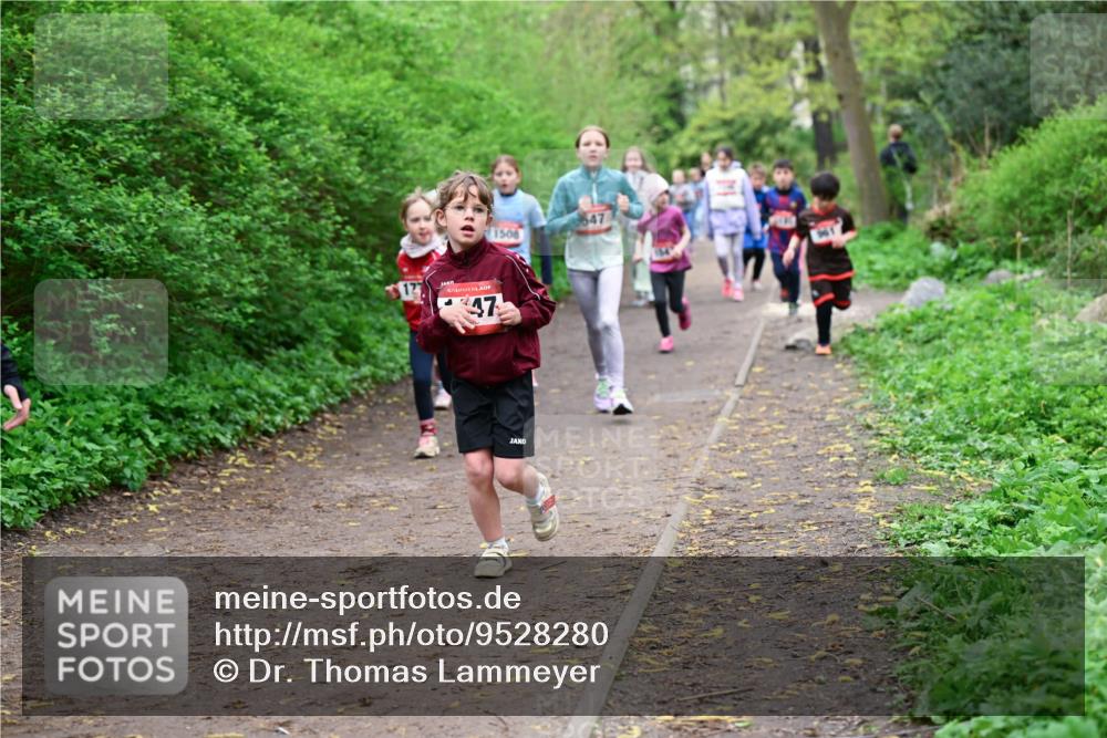 19.04.2026 - Hammer Lauf Dr. Thomas Lammeyer http://msf.ph/oto/9528280 19.04.2026 09:27:25 Laufen 1508, 647 meine-sportfotos.de