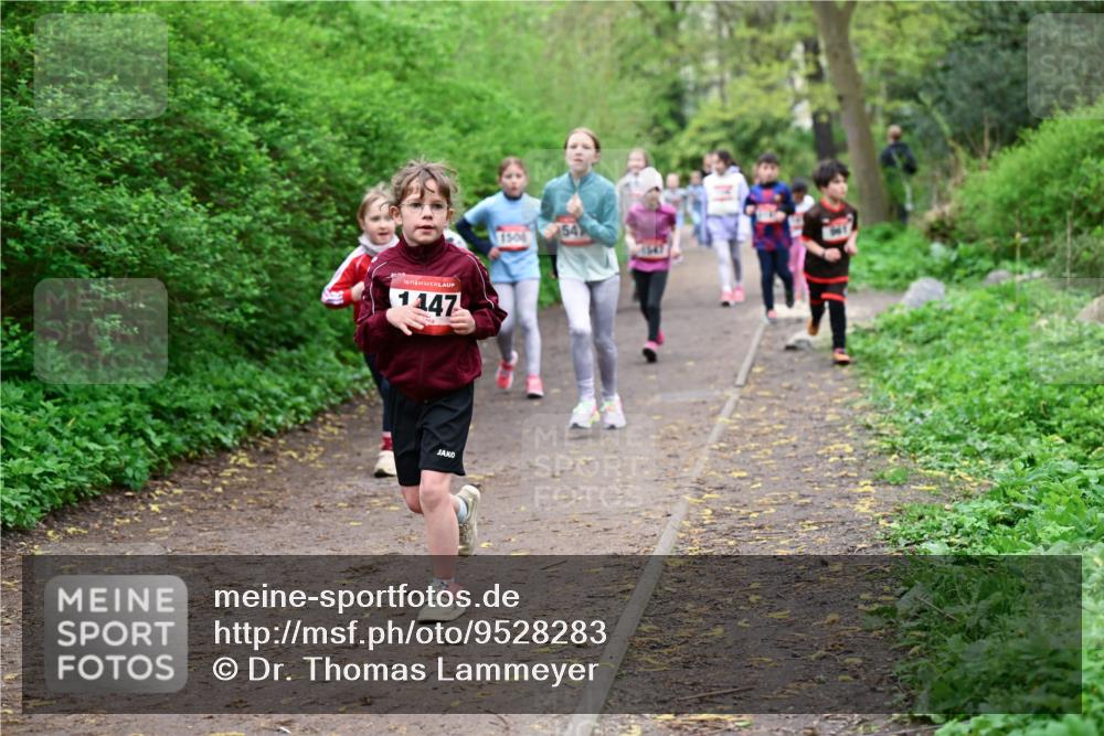 19.04.2026 - Hammer Lauf Dr. Thomas Lammeyer http://msf.ph/oto/9528283 19.04.2026 09:27:25 Laufen 1147, 1506 meine-sportfotos.de