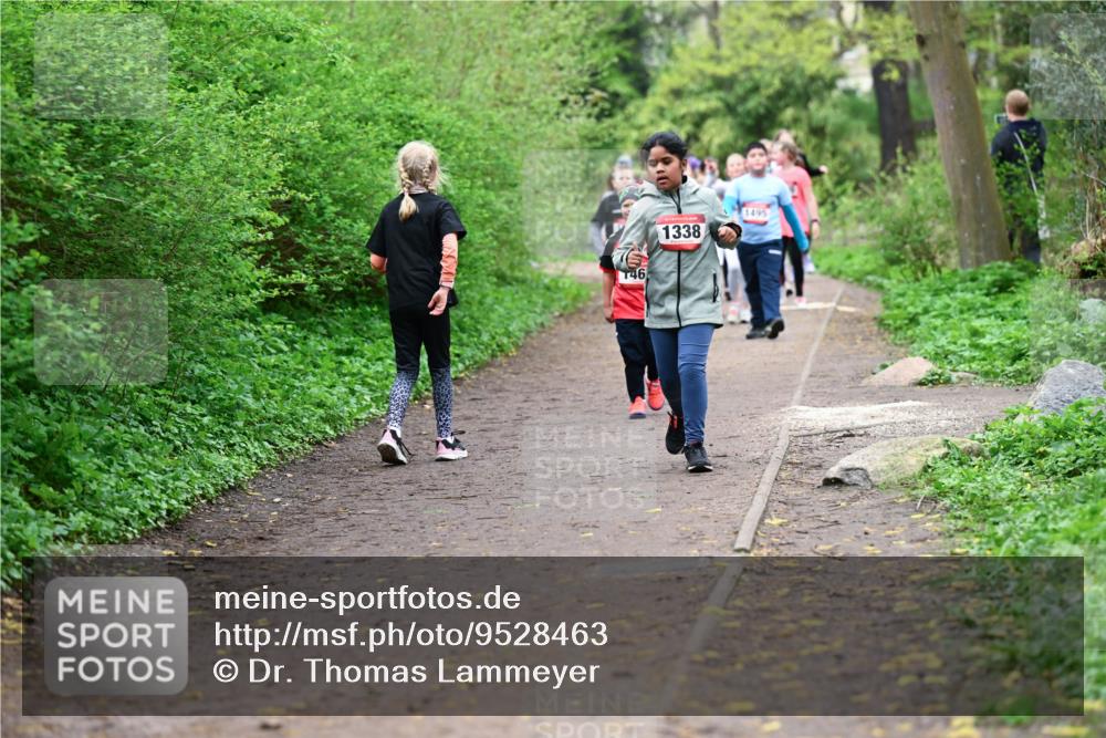 19.04.2026 - Hammer Lauf Dr. Thomas Lammeyer http://msf.ph/oto/9528463 19.04.2026 09:27:45 Laufen 146, 1338, 1495 meine-sportfotos.de