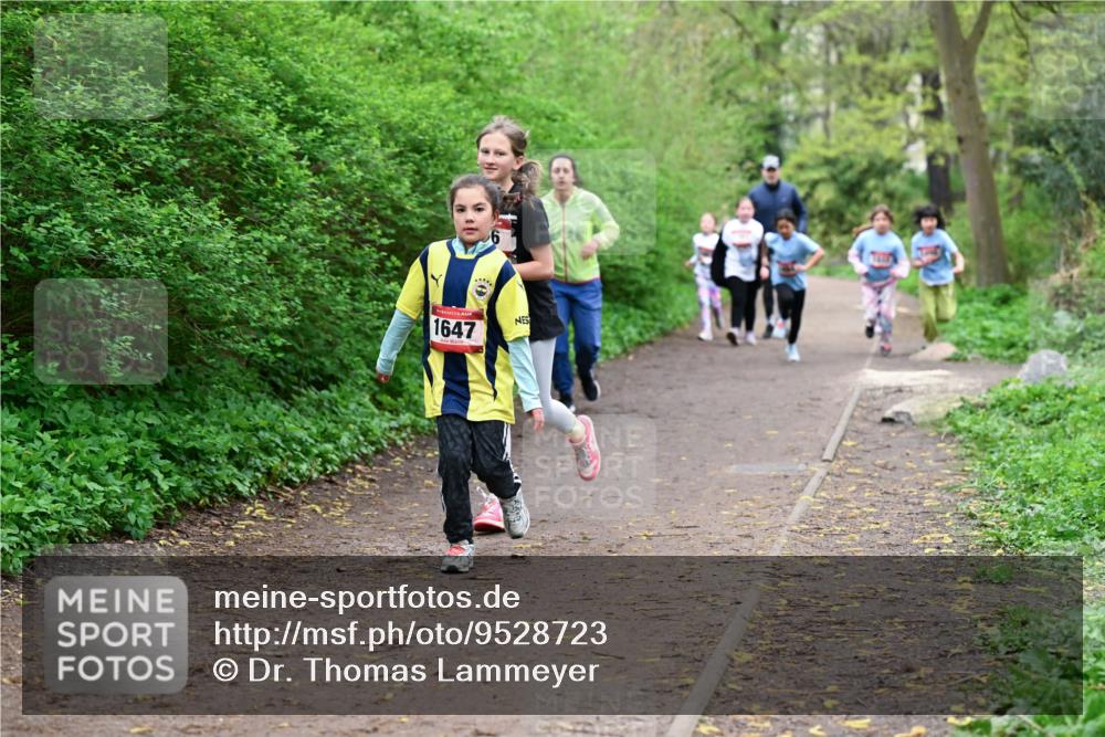 19.04.2026 - Hammer Lauf Dr. Thomas Lammeyer http://msf.ph/oto/9528723 19.04.2026 09:28:38 Laufen 1647 meine-sportfotos.de