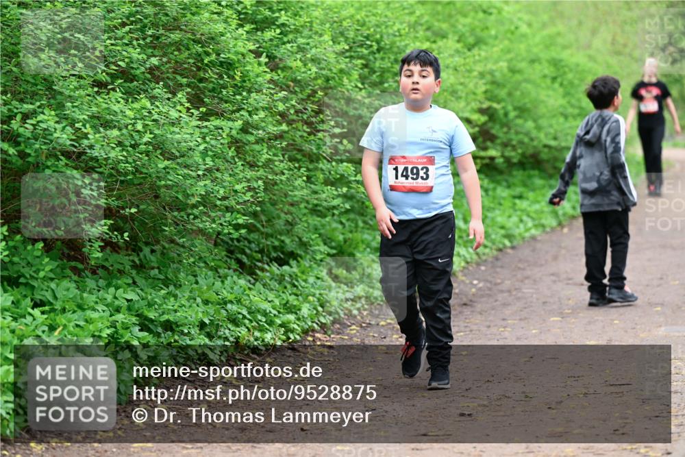 19.04.2026 - Hammer Lauf Dr. Thomas Lammeyer http://msf.ph/oto/9528875 19.04.2026 09:28:55 Laufen 1493 meine-sportfotos.de