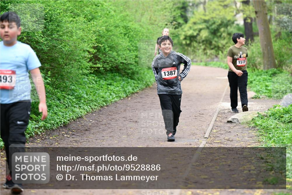 19.04.2026 - Hammer Lauf Dr. Thomas Lammeyer http://msf.ph/oto/9528886 19.04.2026 09:28:56 Laufen 493, 1387, 1516 meine-sportfotos.de