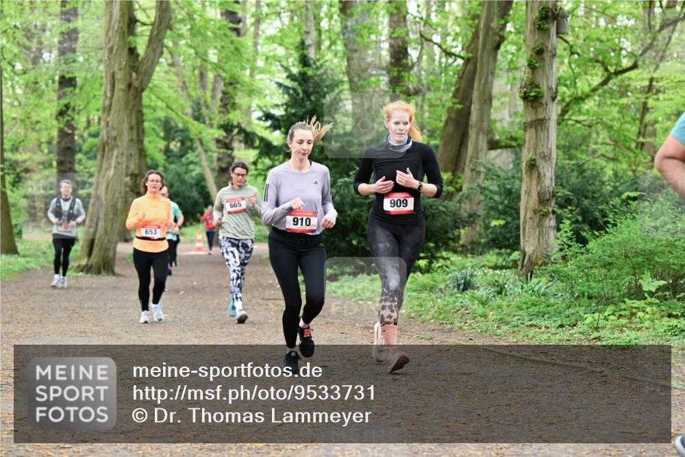 19.04.2026 - Hammer Lauf Dr. Thomas Lammeyer http://msf.ph/oto/9533731 19.04.2026 10:15:03 Laufen 653, 665, 910, 909 meine-sportfotos.de