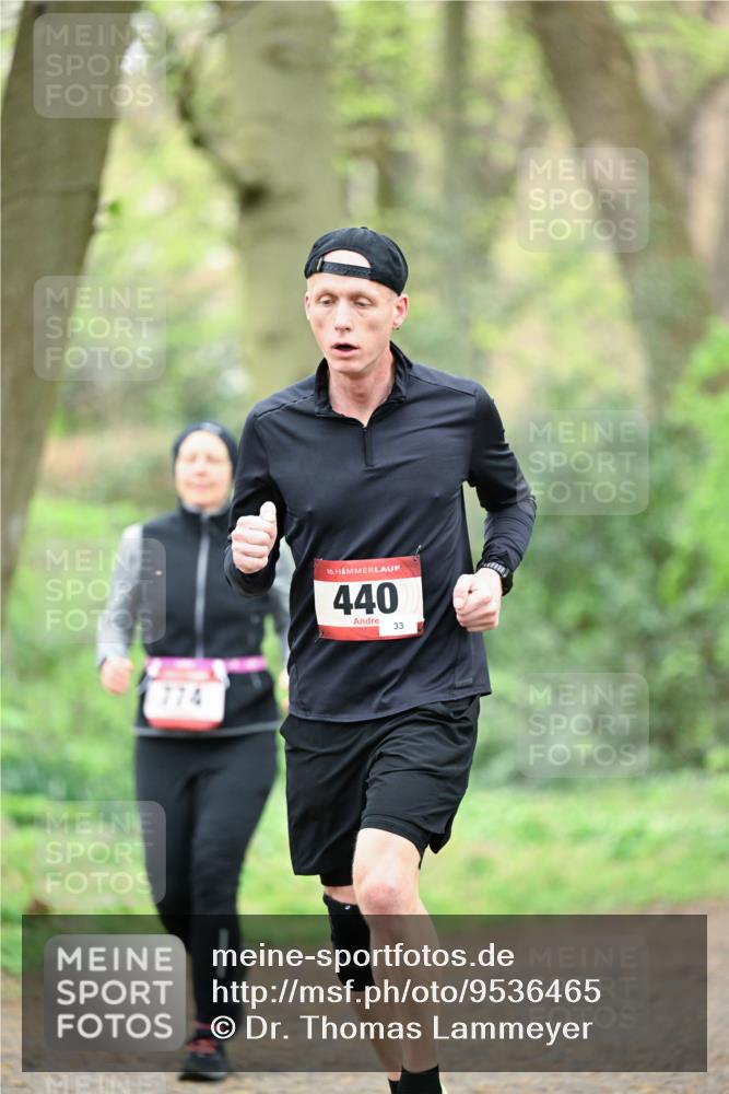 19.04.2026 - Hammer Lauf Dr. Thomas Lammeyer http://msf.ph/oto/9536465 19.04.2026 10:24:19 Laufen 774, 440 meine-sportfotos.de