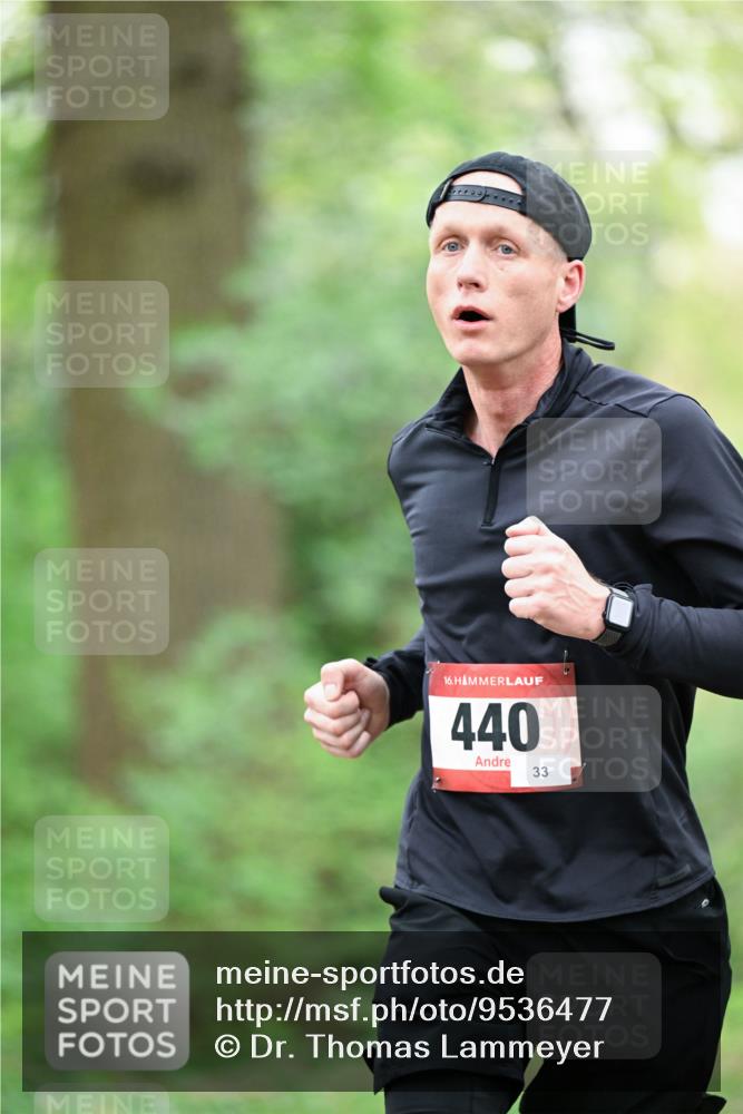 19.04.2026 - Hammer Lauf Dr. Thomas Lammeyer http://msf.ph/oto/9536477 19.04.2026 10:24:20 Laufen 440 meine-sportfotos.de