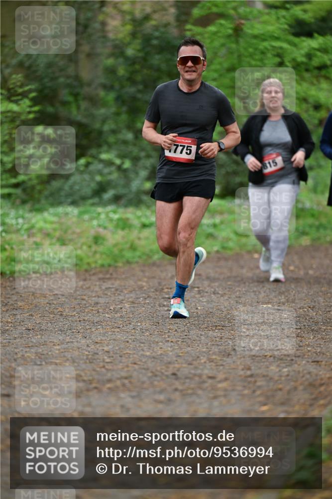 19.04.2026 - Hammer Lauf Dr. Thomas Lammeyer http://msf.ph/oto/9536994 19.04.2026 10:27:58 Laufen 775, 815 meine-sportfotos.de
