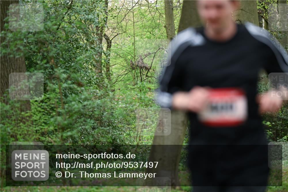 19.04.2026 - Hammer Lauf Dr. Thomas Lammeyer http://msf.ph/oto/9537497 19.04.2026 10:30:59 Laufen  meine-sportfotos.de