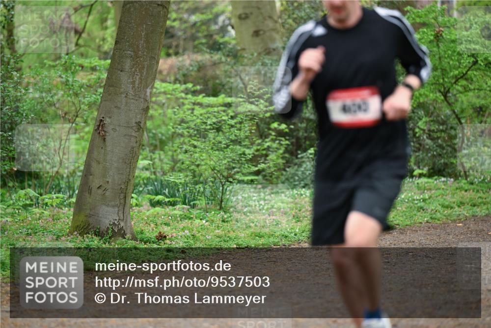19.04.2026 - Hammer Lauf Dr. Thomas Lammeyer http://msf.ph/oto/9537503 19.04.2026 10:30:59 Laufen  meine-sportfotos.de