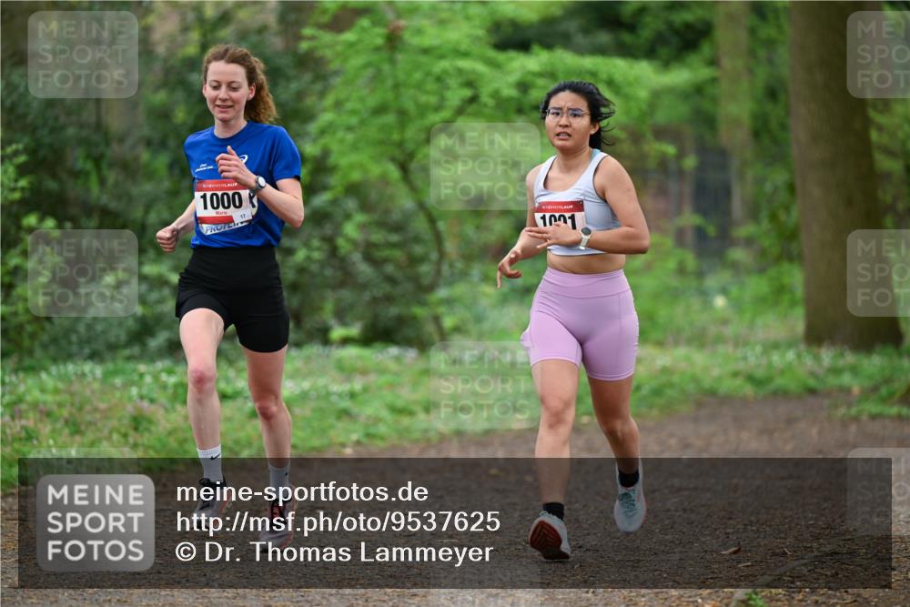 19.04.2026 - Hammer Lauf Dr. Thomas Lammeyer http://msf.ph/oto/9537625 19.04.2026 10:31:56 Laufen 1000, 1001 meine-sportfotos.de