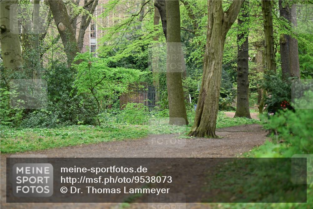 19.04.2026 - Hammer Lauf Dr. Thomas Lammeyer http://msf.ph/oto/9538073 19.04.2026 10:33:26 Laufen  meine-sportfotos.de